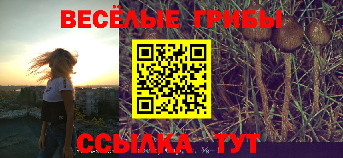 Галлюциногенные грибы прущие грибы Каменск-Шахтинский