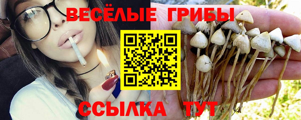 Каменск-Шахтинский  Псилоцибиновые грибы MAGIC MUSHROOMS  Псилоцибиновые грибы Magic Shrooms  Вход с VPN 